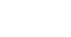 Ronin Secure Solutions Pvt Ltd Logo
